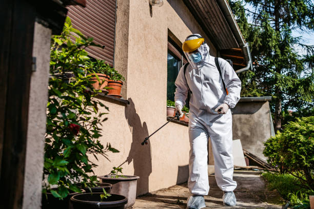 Best Local Pest Control Services  in Ridgemark, CA