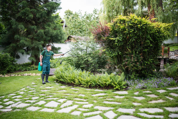 Best Affordable Exterminators  in Ridgemark, CA