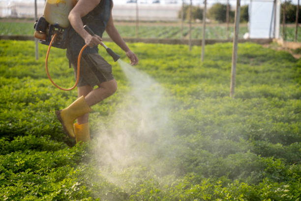 Trusted Ridgemark, CA Pest Control Experts